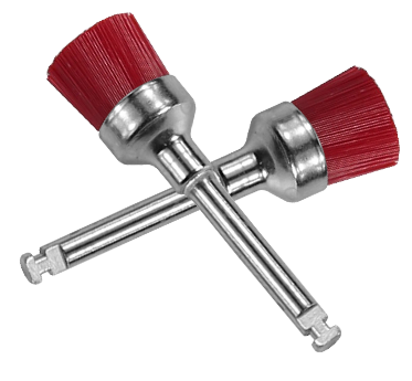 Prophy Brush