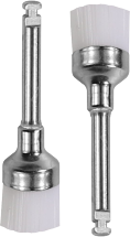 Prophy Brush