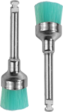 Prophy Brush