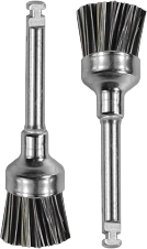 Prophy Brush