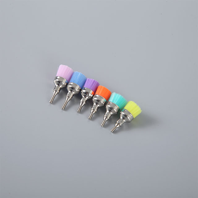 Dental Clinic Bolted Comfortable Prophy Brush