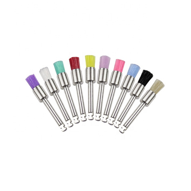 Hard Prophy Brush With Metal Handle For Dentures