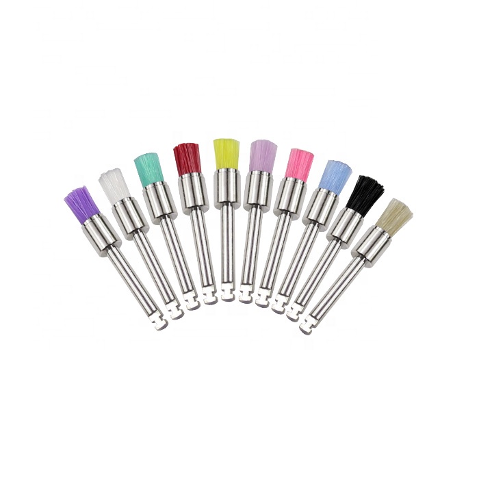 Hard Prophy Brush With Metal Handle For Dentures