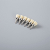 Colorful Hard Prophy Brush For Daily Use