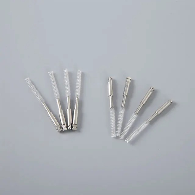 The Truth About Root Canals